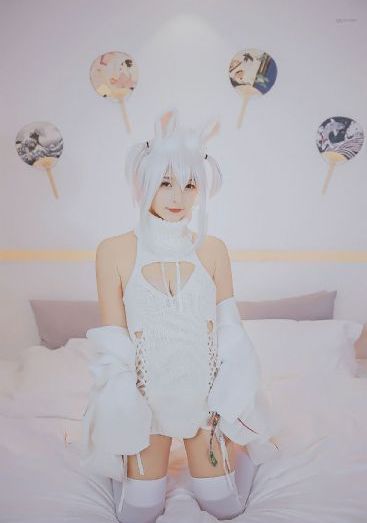 变型记