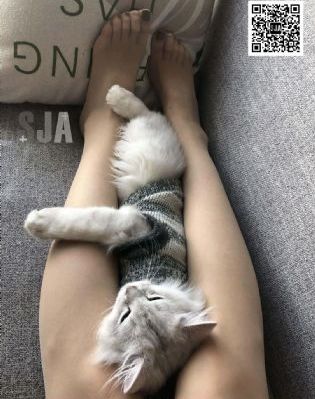 韩剧h