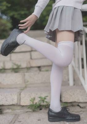 少帅 电视剧