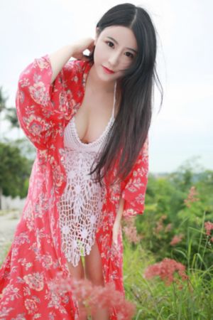 妙警贼探第六季