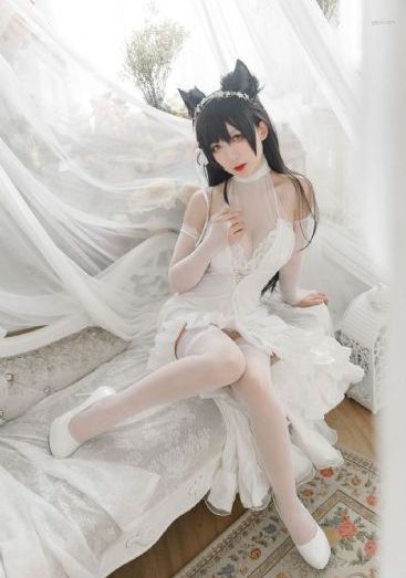 师兄阿师兄