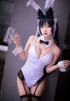 天鹅羽翼
